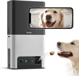 petcube